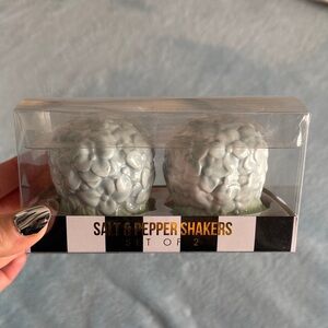 Floral Salt and Pepper Shakers Set